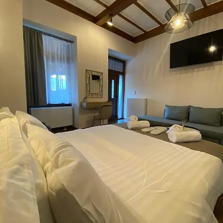 11 Luxury Apartments Metsovo. Exterior photo