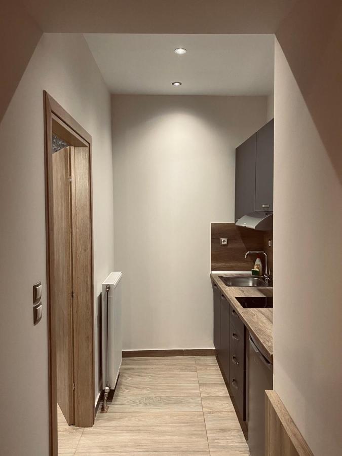 11 Luxury Metsovo. Apartment Metsovo