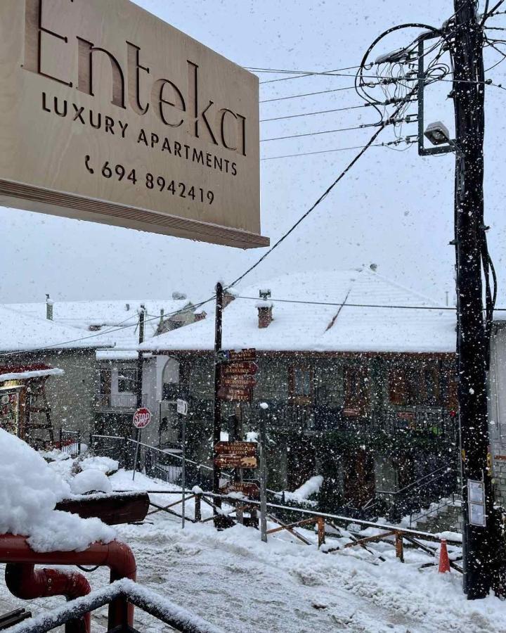 11 Luxury Metsovo. Apartment